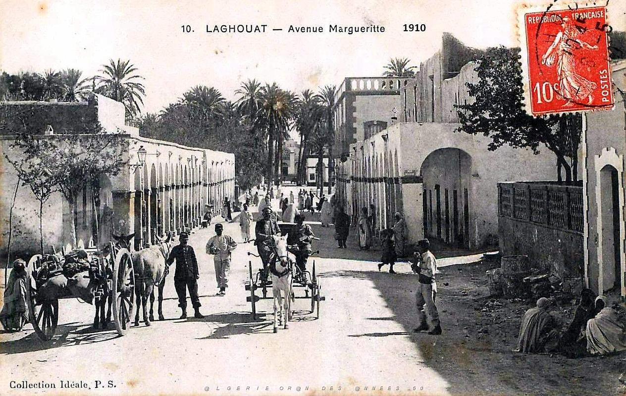 1955- Laghouat - Avenue Margueritte - 1910.jpg